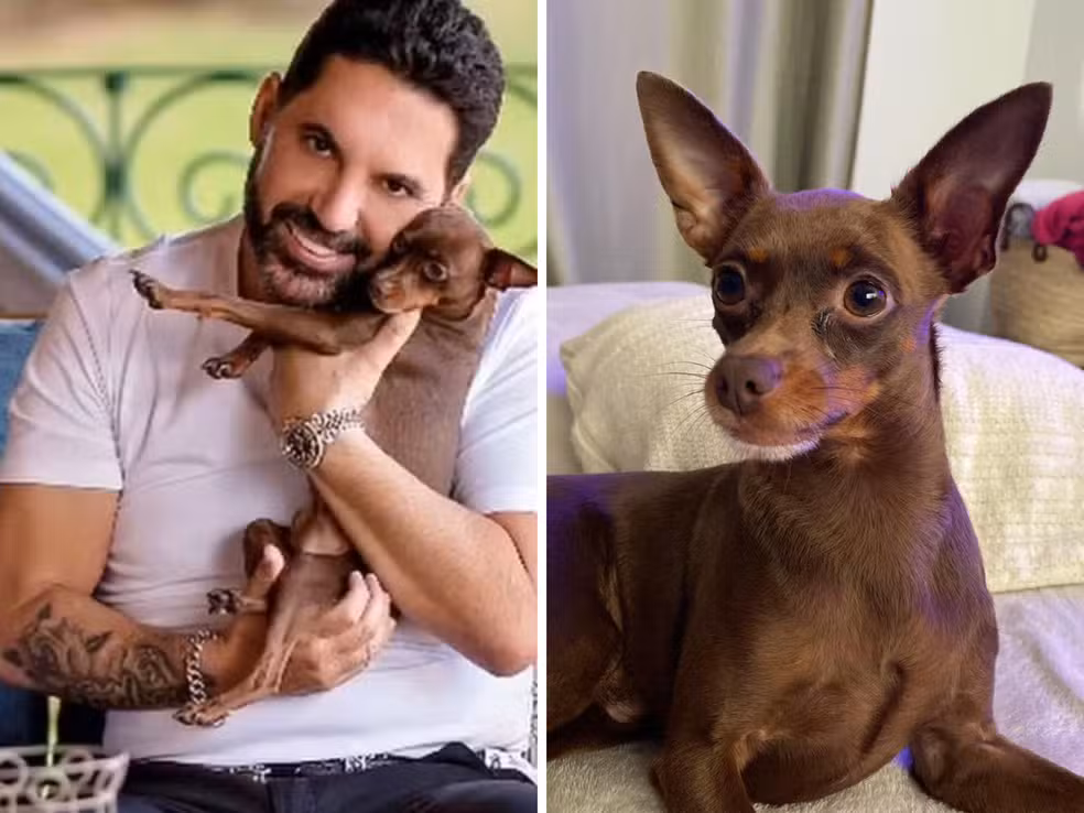 Edson, da dupla com Hudson, ofereceu recompensa por cachorro desaparecido